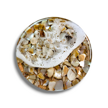 Load image into Gallery viewer, Shell Tide Pool Coasters
